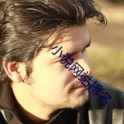 小說網站排名