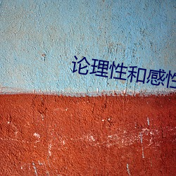 论理性和感性