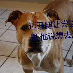 ǲ(й)ٷվ