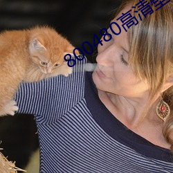 800480高清壁纸