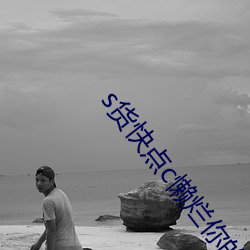 s货快点c懒烂你的sb