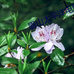 金年会(中国)官方网站