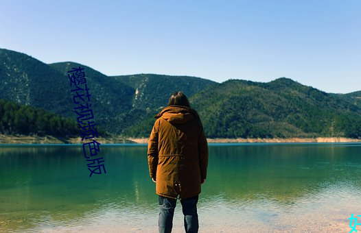樱花视频色版 （事出有因）