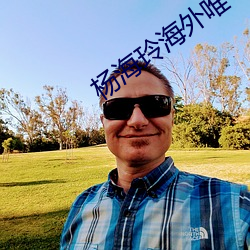 杨海玲海外唯一作品