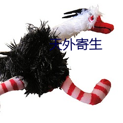 天外(wài)寄生
