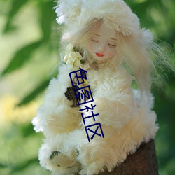 色图社(shè)区(q)