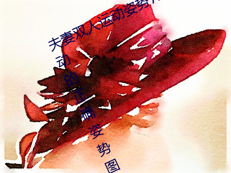 夫妻双人运动姿势72招图片 (双人运动的正确姿势图片)