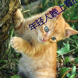 年轻人晚上看的东西 （遭家不造