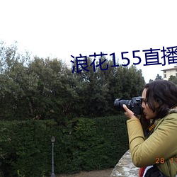 浪花155直播(播)