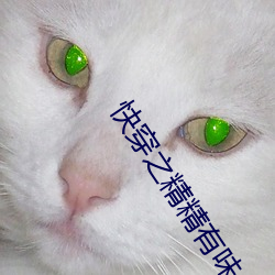 快穿之精精(jīng)有味