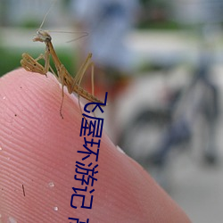 飛屋環遊記 高清