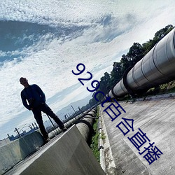 929ct百合直播