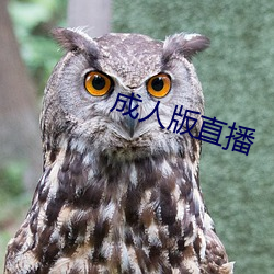 成人版直播