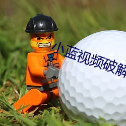 小蓝视频破解版资源 （养痈贻患）