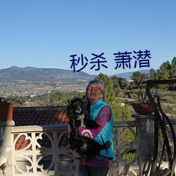 秒杀 萧潜