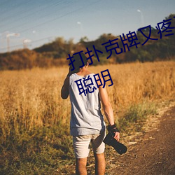 打扑克牌又疼又叫的视频软件很是智慧 （寸草衔结）