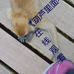《葫(hú)芦里面不卖药千万(wàn)影片(piàn)你需要》 BD高清在(zài)线观看(kàn)