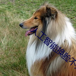 人工(工)智(智)能换脸(臉)不是(是)梦