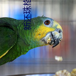 新还珠格格94