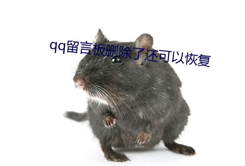 qq留言板删除了还可以恢复