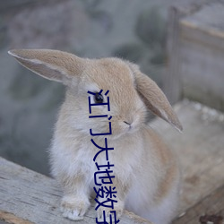 江(jiāng)门(mén)大地数(shù)字(zì)影院(yuàn)