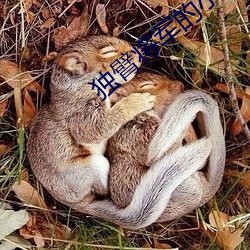 獨臂將軍的小公主