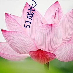 51成长人版安装 （八荒之外）