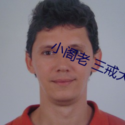 小阁(閣)老 三(三)戒大师(師)
