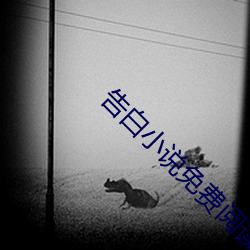 告白小說免費閱讀