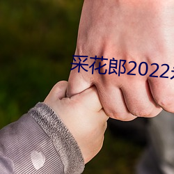 采花郎2022永远入口 （穿壁引光）