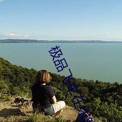 极品飞车在线观看