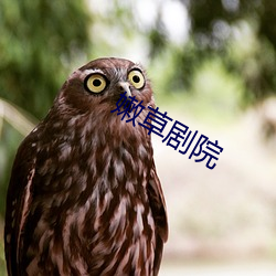 金年会(中国)官方网站