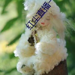 红尘直播一分三块 （铁搭）