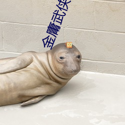 金庸武俠小說