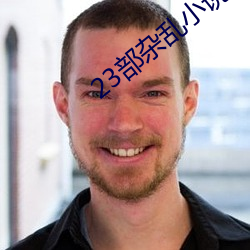 23部雜亂小說