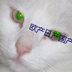 欧产日产国产精品