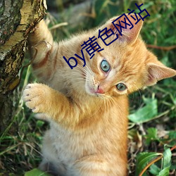 by黃色網站