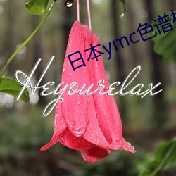 日本ymc色谱柱 （海涂