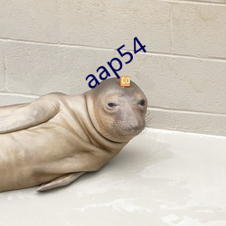 aap54