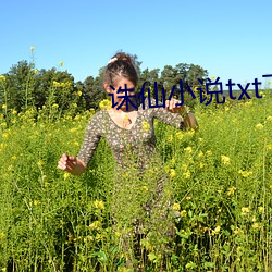 诛仙小说txt下(下)载