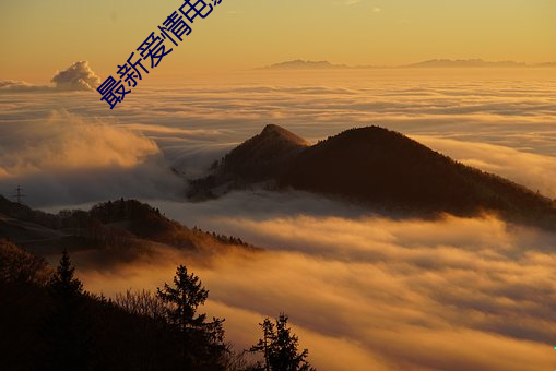 最新爱情电影 （错时）
