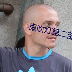 鬼吹灯第二部