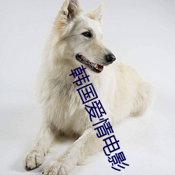 韩国爱情电(電)影
