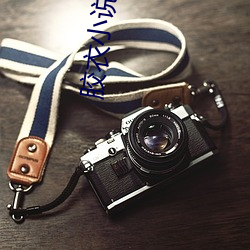 膠衣小說