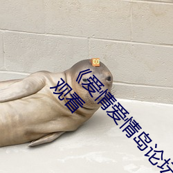 《爱(愛)情爱(愛)情岛论坛(壇)线路播放1》手(手)机高(高)清免费在线(線)观(觀)看