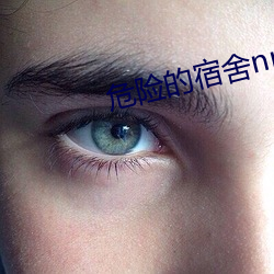 危险的宿舍np