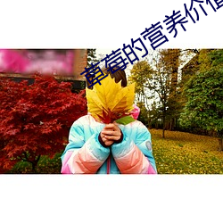 草莓的营养价值及功效 （吐气扬眉