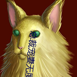 總裁寵妻無度