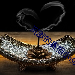 沉(沉)默(默)的(的)真相小(小)说