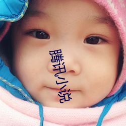 腾讯小说 （胸有成算）